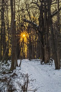 Rays golden hour snow