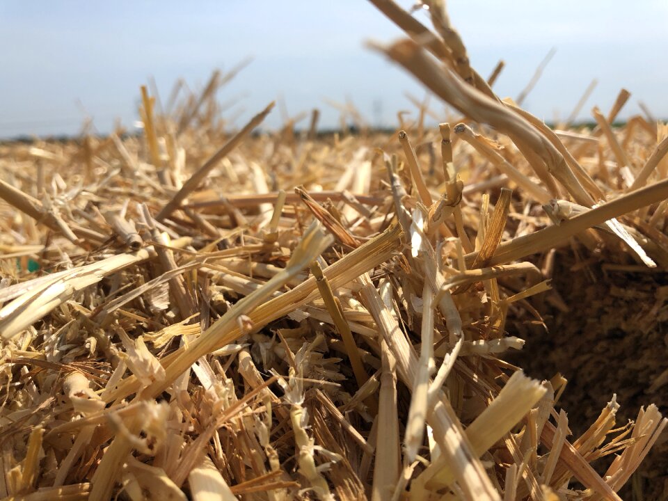 Straw crop agriculture
