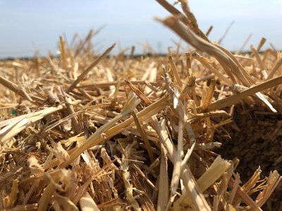 Straw crop agriculture