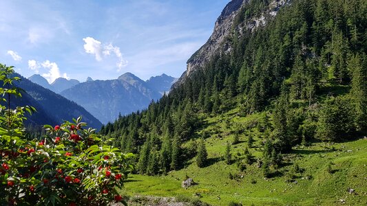 Alpine mountains summer photo