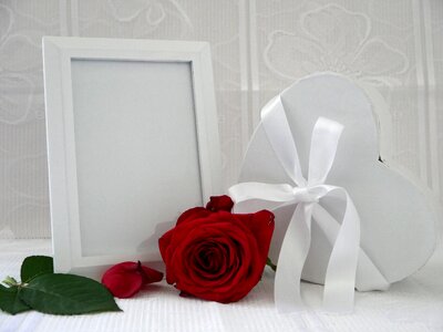 Heart valentine's day wedding photo