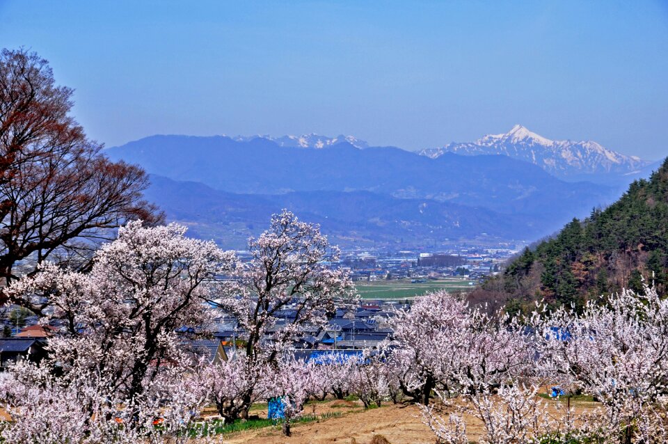 Landscape mountain nagano prefecture