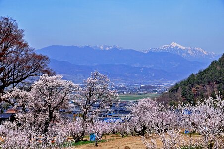 Landscape mountain nagano prefecture photo
