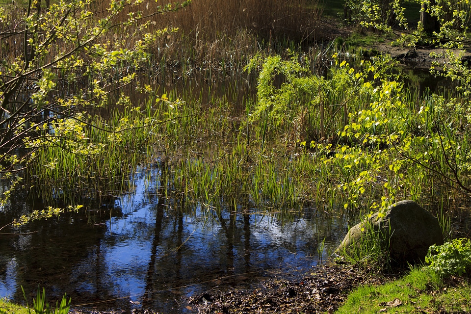Lake landscape nature