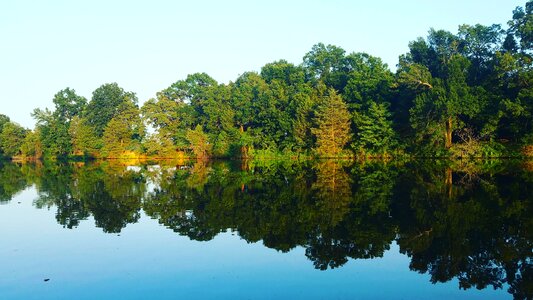 River trees oklahoma