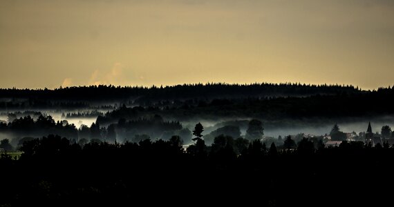 Landscape mist nature