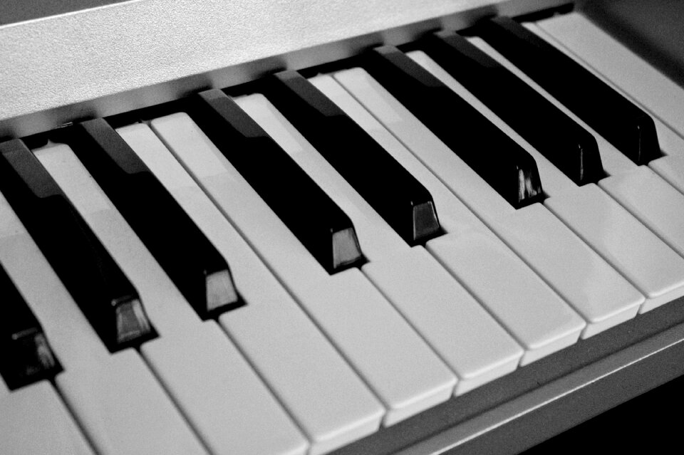 Black and white tool play