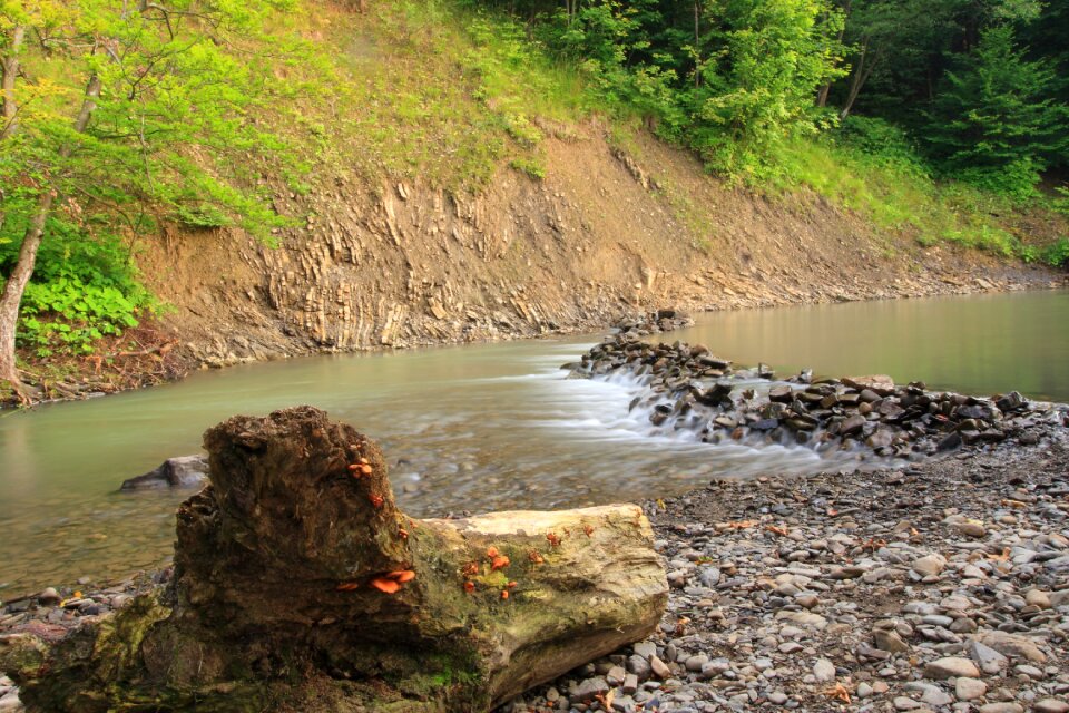 Torrent nature landscape