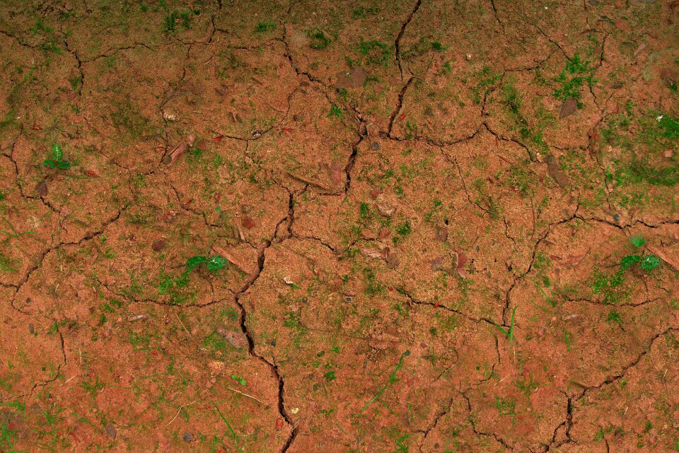 Drought cracked earth