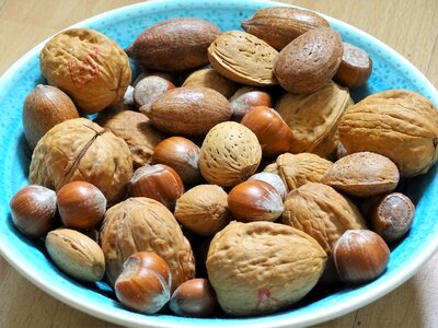 Food eat walnuts
