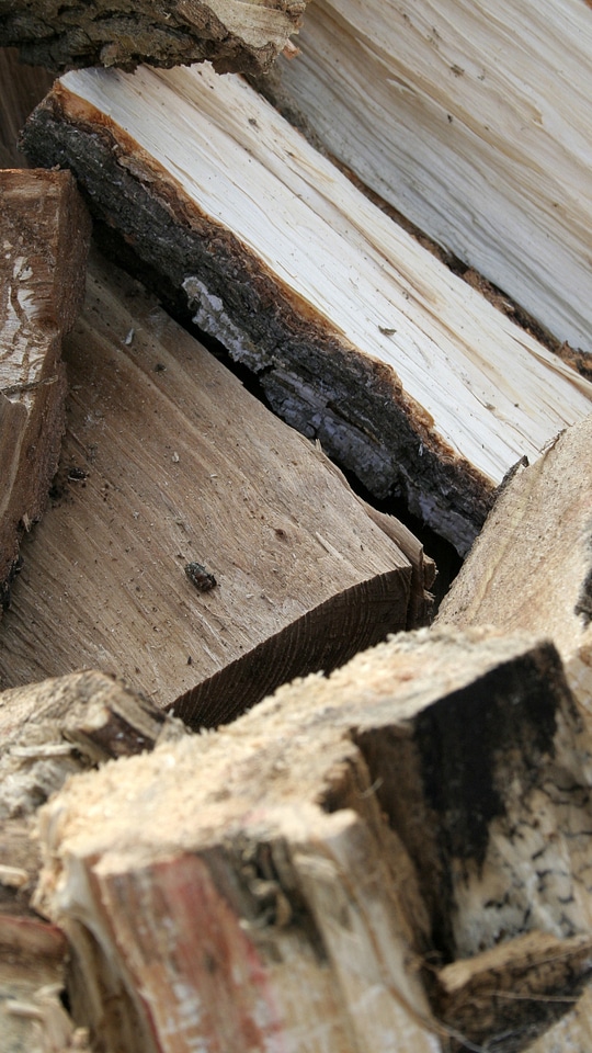 Nature firewood pile of wood