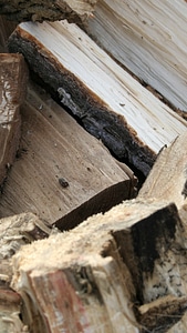 Nature firewood pile of wood photo