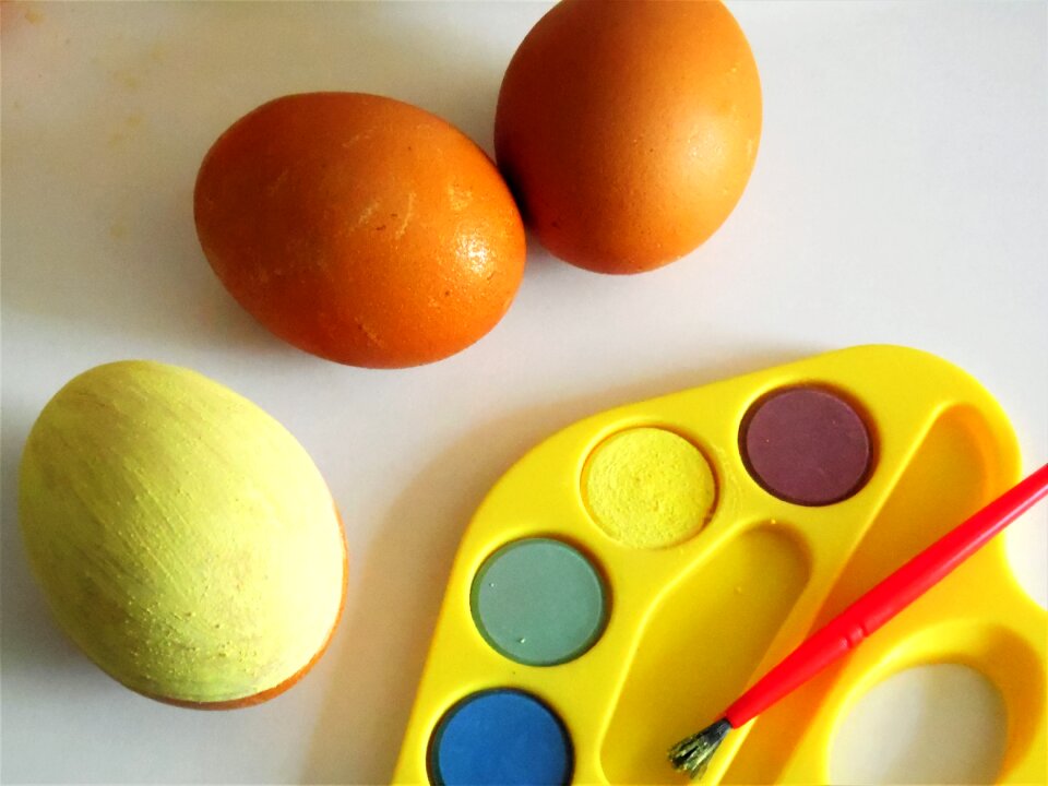 Colored colorful egg