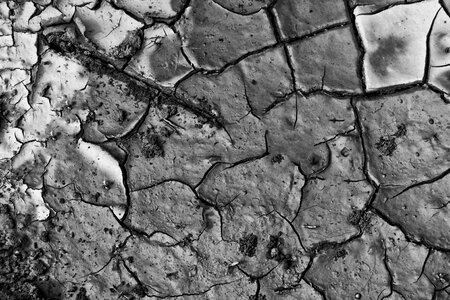 Cracks dehydrated clay photo