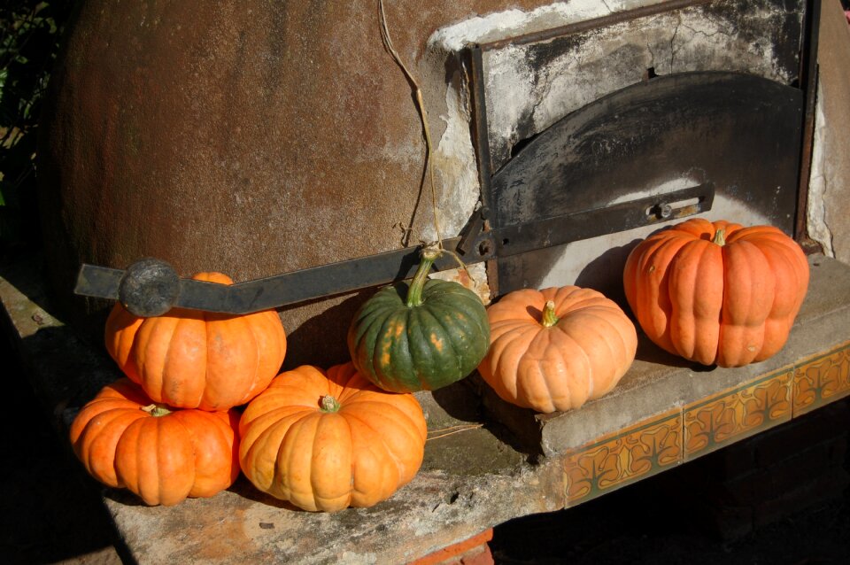 Pumpkin bread oven farm