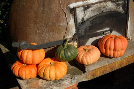 Pumpkin bread oven farm