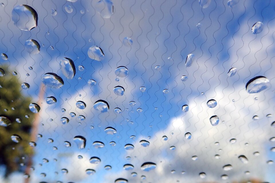 Drops windshield photo