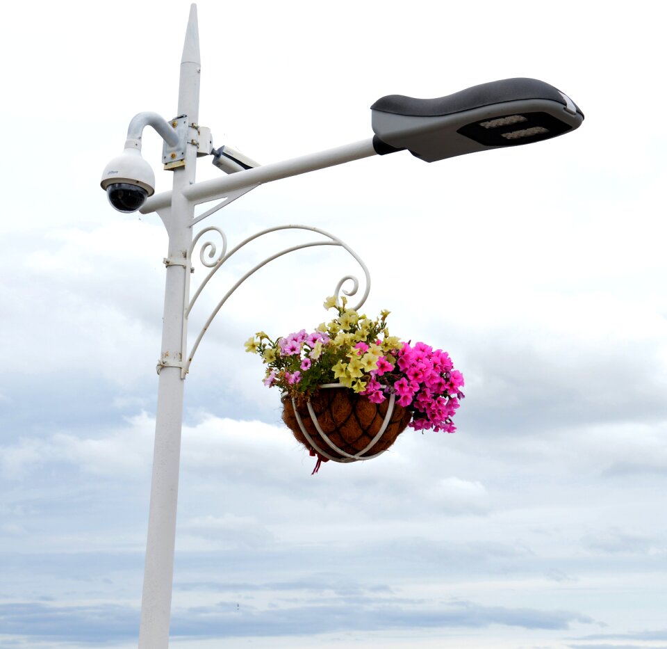 Clouds flowers flower bed
