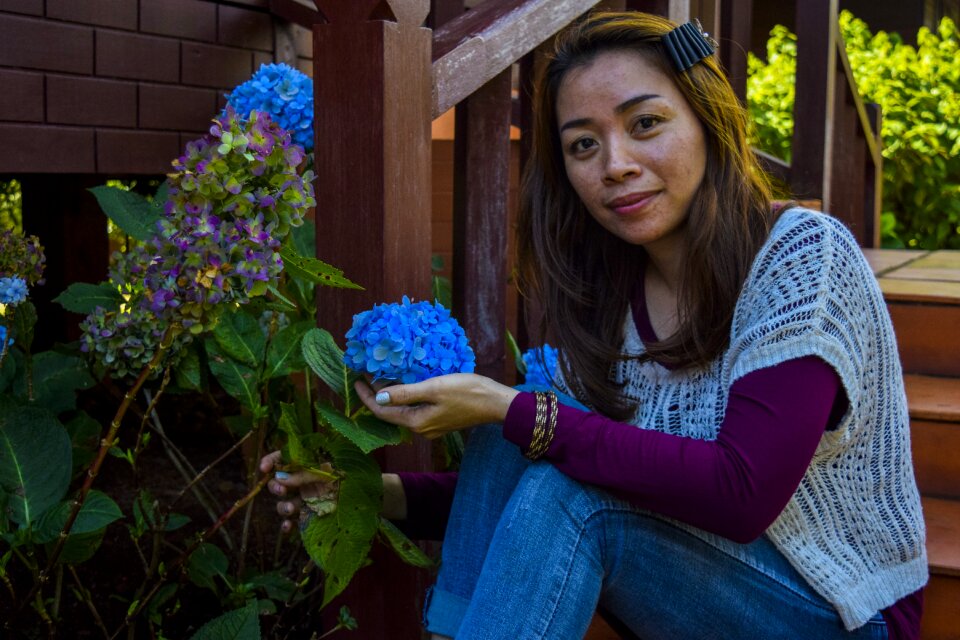 Bloom blossom plant