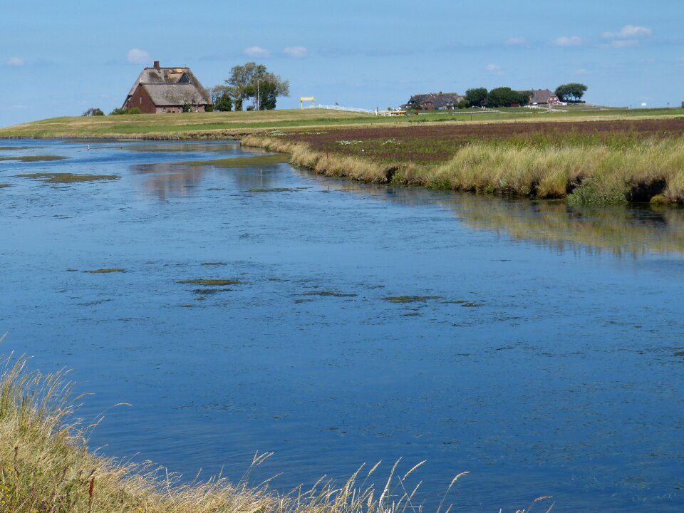Friesland north sea landscape