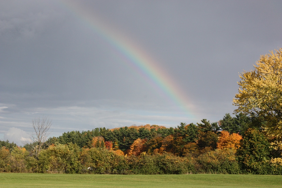 Fall leaves landscape sky