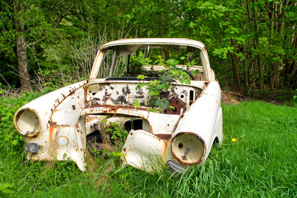 Auto nature oldtimer