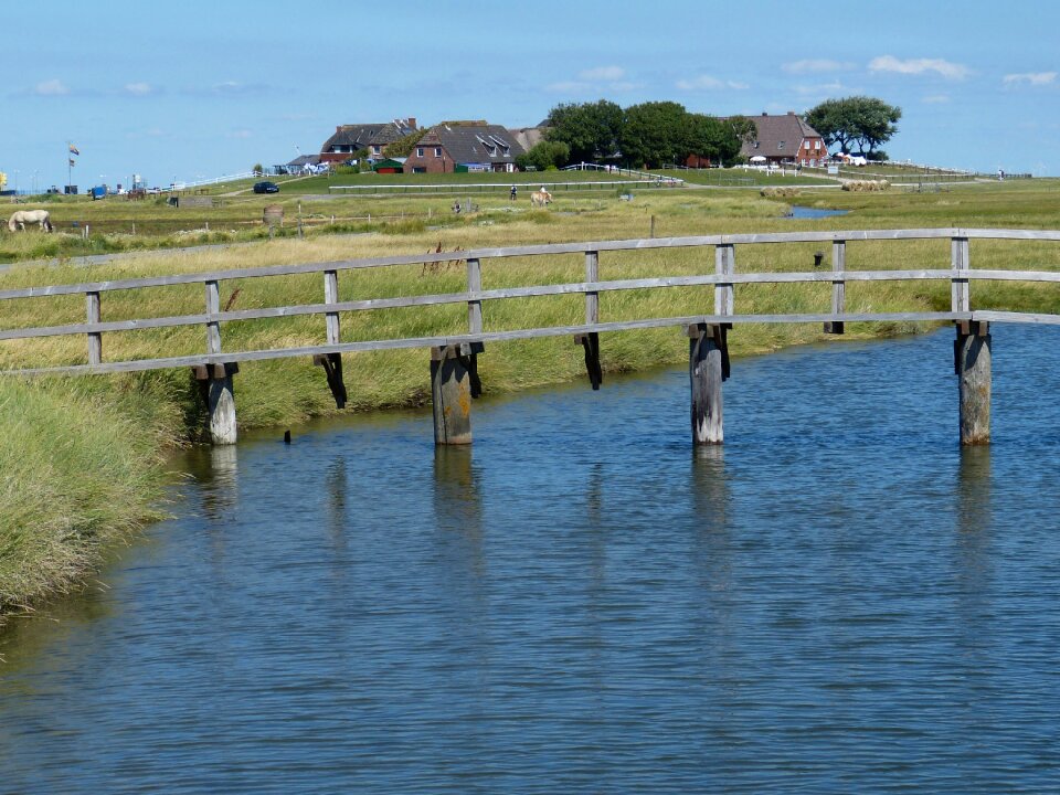 Friesland north sea landscape