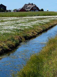 Friesland north sea landscape photo