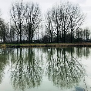 More cold landscape