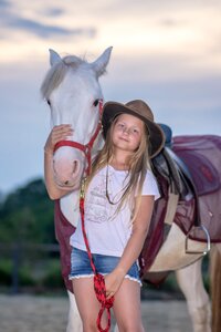 Nature horses farm