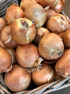 Fresh vegetable raw