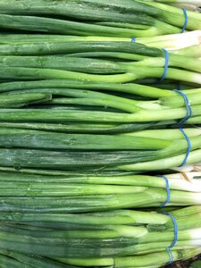 Vegetable healthy vegetarian