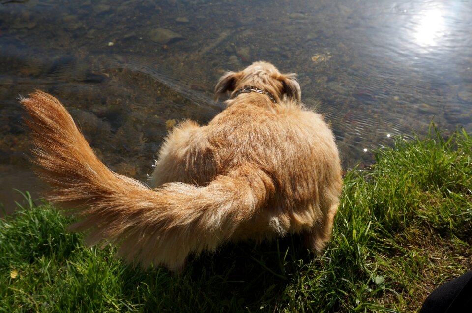 Water river play