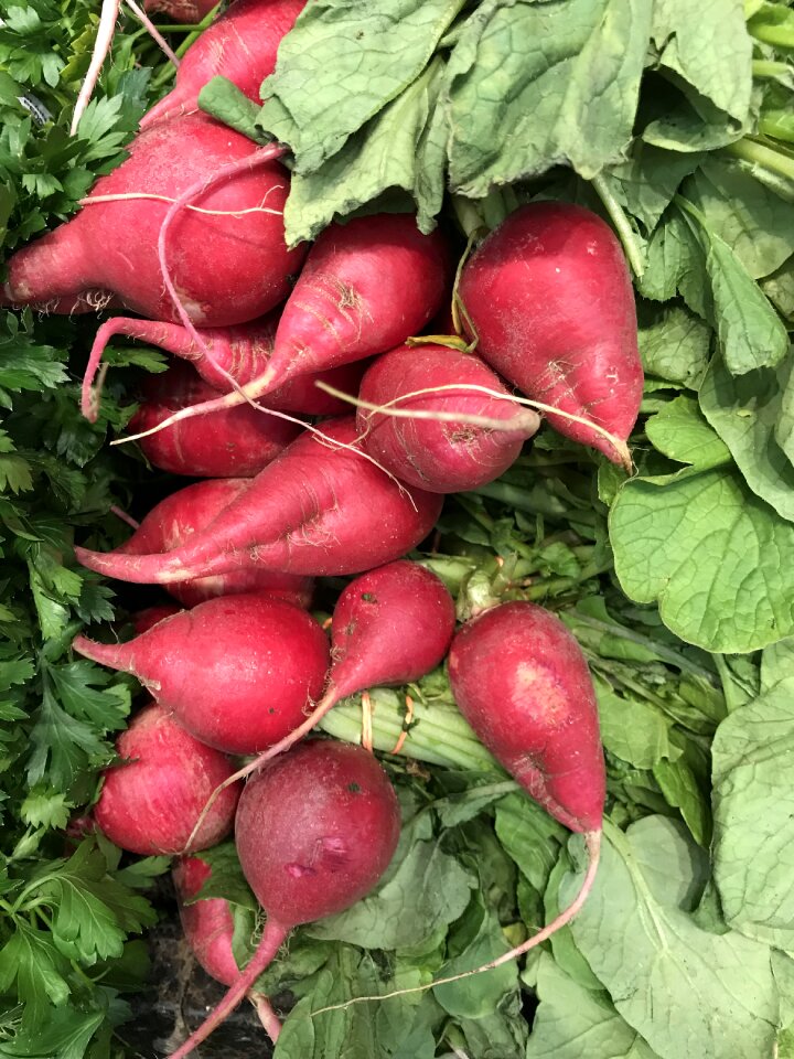 Healthy fresh beetroot