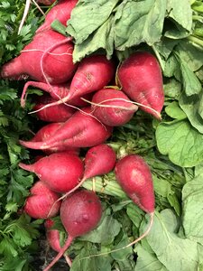 Healthy fresh beetroot