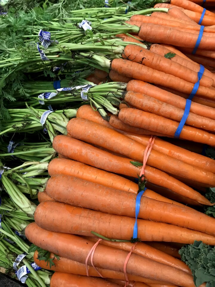 Agriculture vegetarian vegan