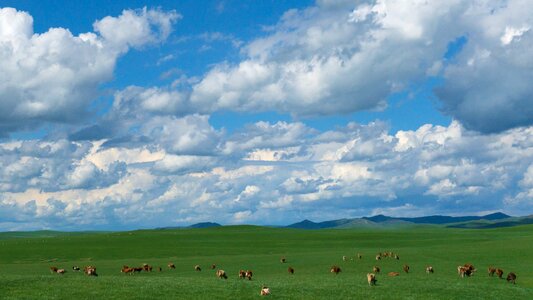 Sky white cloud the vast photo