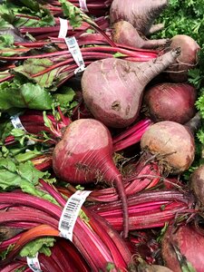 Healthy vegan