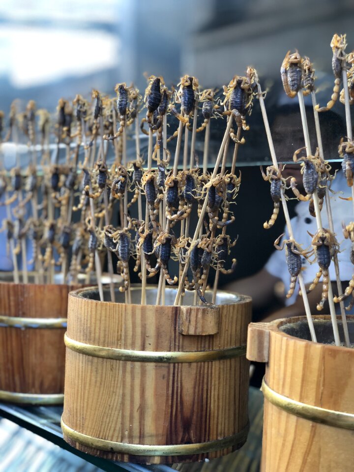 Street food insects beijing