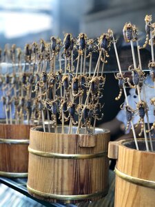 Street food insects beijing