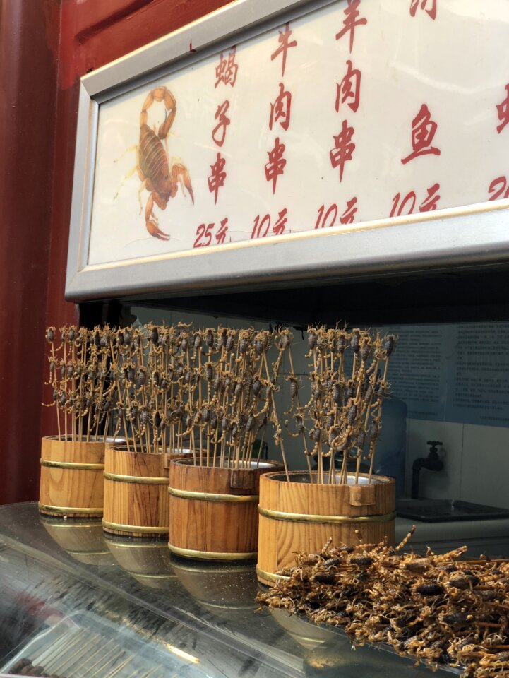 Street food insects beijing
