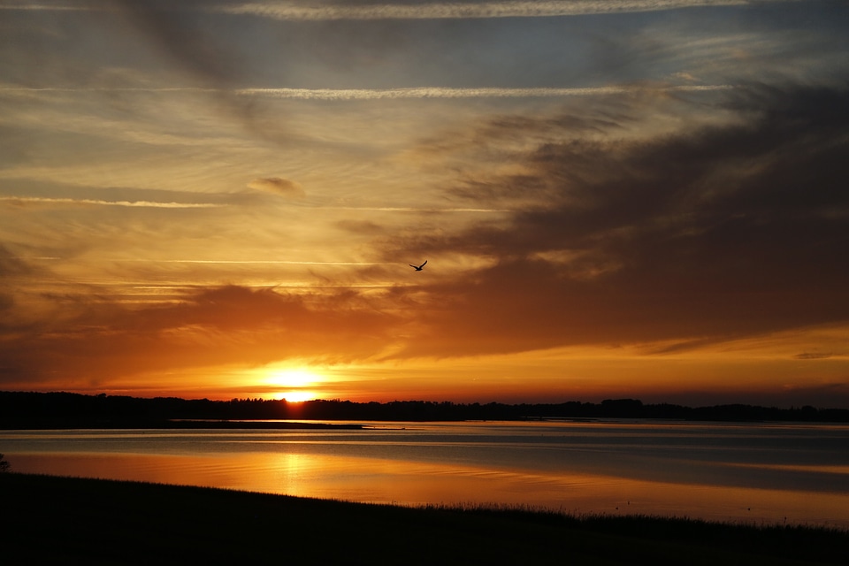 Silhouette nature summer photo