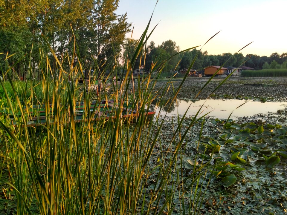 Lake nature water