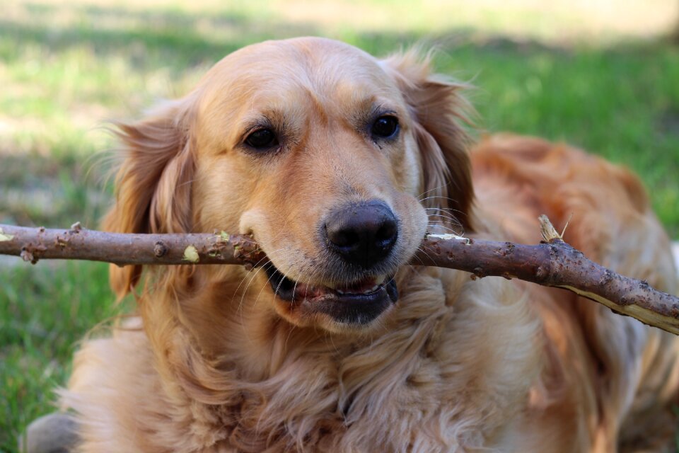 Stick water toy fun