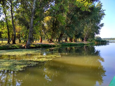 Lake nature water