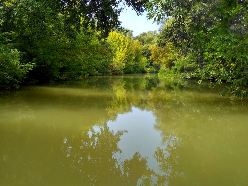 Lake nature water