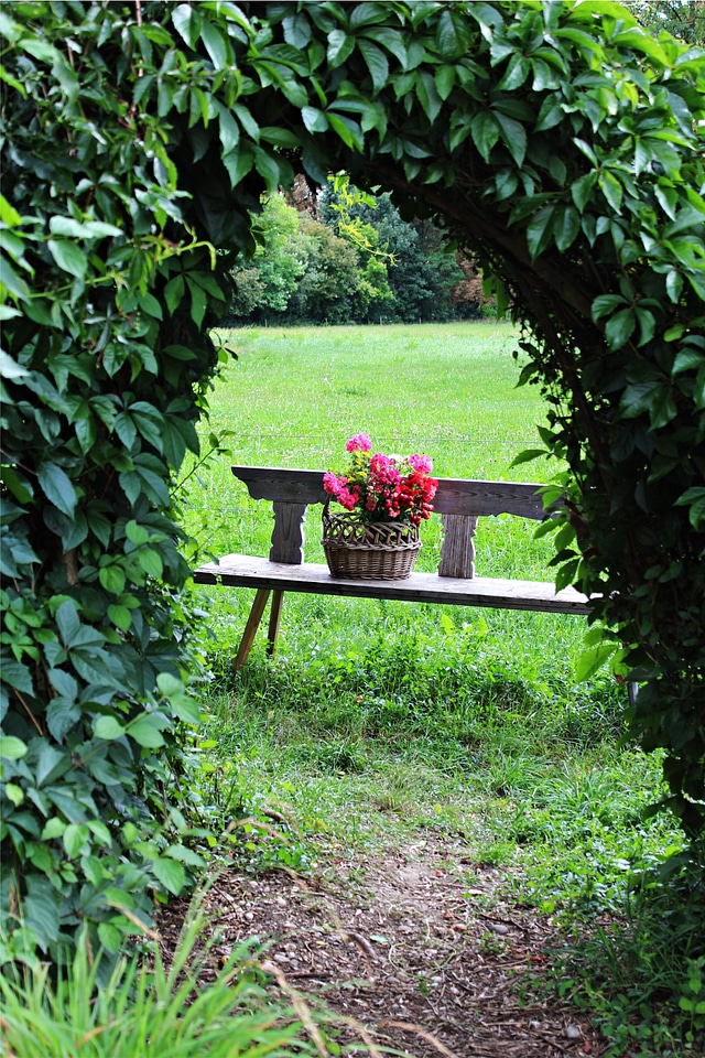 Bank plant tranquility base