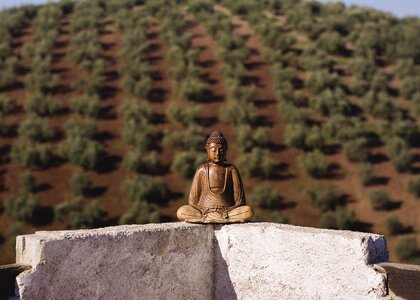Budda relax relaxing