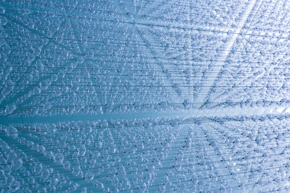 Texture color design
