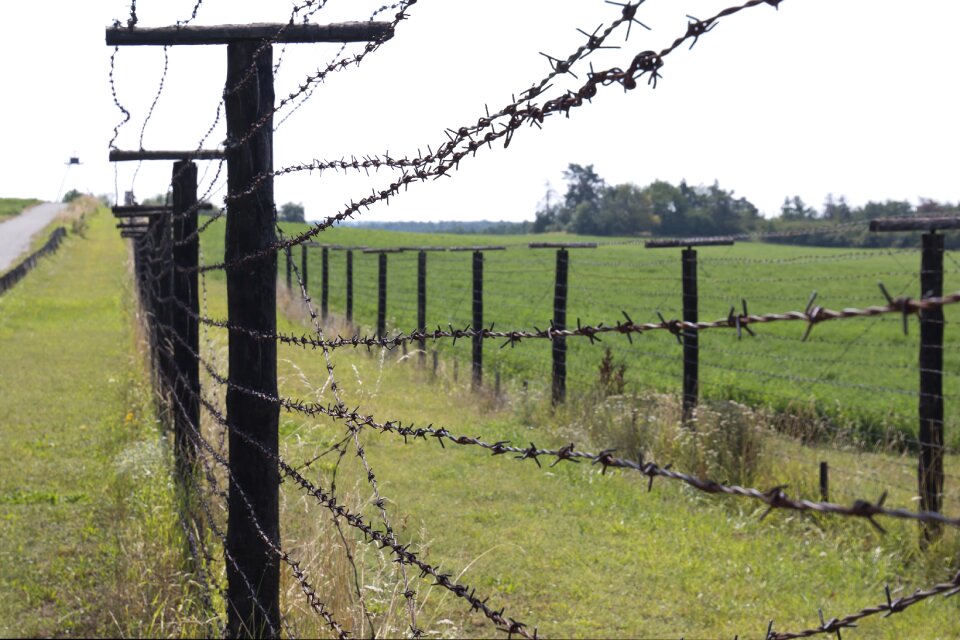 Spiny wire border